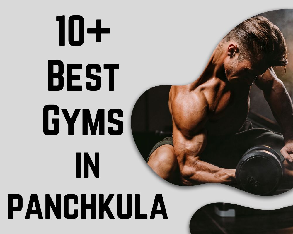 10+ Best Gyms in Panchkula Find Your Perfect Fitness Center Today