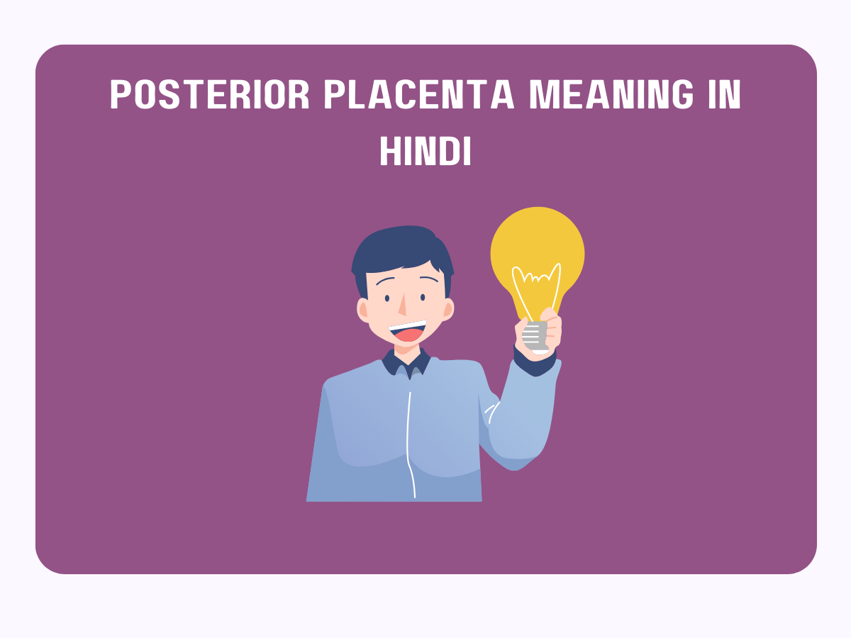 Posterior Placenta Meaning In Hindi