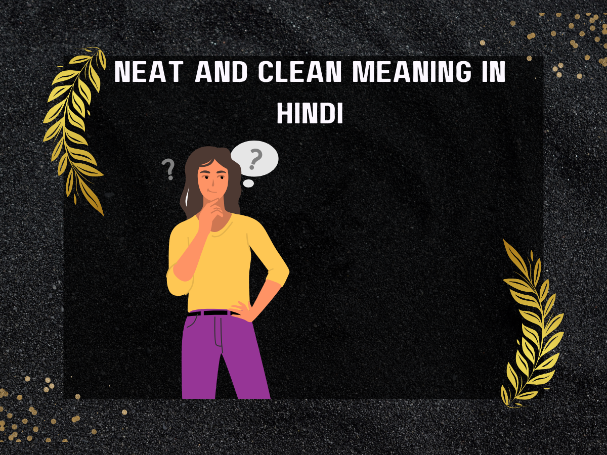 Neat And Clean Meaning In Hindi