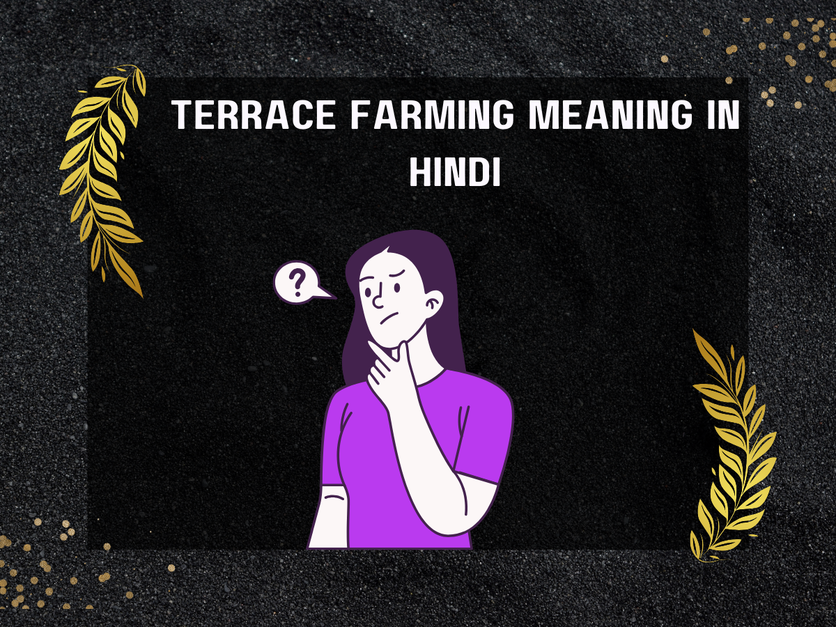 Terrace Farming Meaning In Hindi
