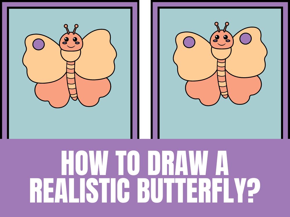 How to Draw a Realistic Butterfly